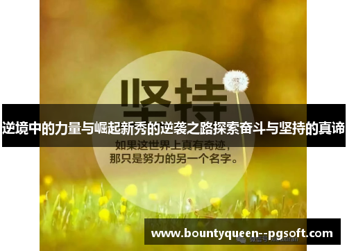 逆境中的力量与崛起新秀的逆袭之路探索奋斗与坚持的真谛 逆境中的力量与崛起新秀的逆袭之路探索奋斗与坚持的真谛