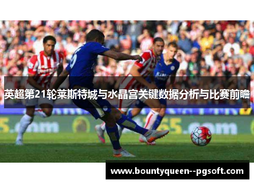 英超第21轮莱斯特城与水晶宫关键数据分析与比赛前瞻 英超第21轮莱斯特城与水晶宫关键数据分析与比赛前瞻