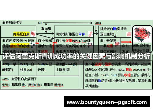评估阿贾克斯青训成功率的关键因素与影响机制分析