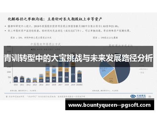 青训转型中的大宝挑战与未来发展路径分析